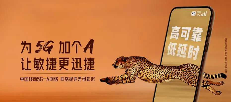 洞口县洞口县高沙镇 移动宽带